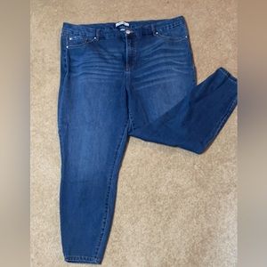 Refuge Skinny Jean